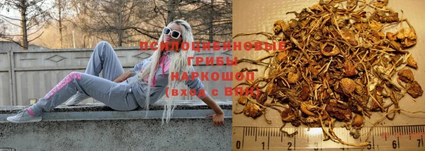 марки lsd Няндома